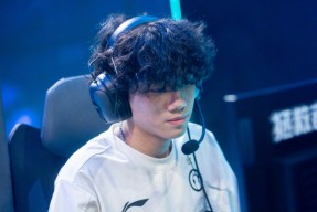 南宫体育-TheShy新星精彩发挥表现惊艳，FPX未来可期！的简单介绍